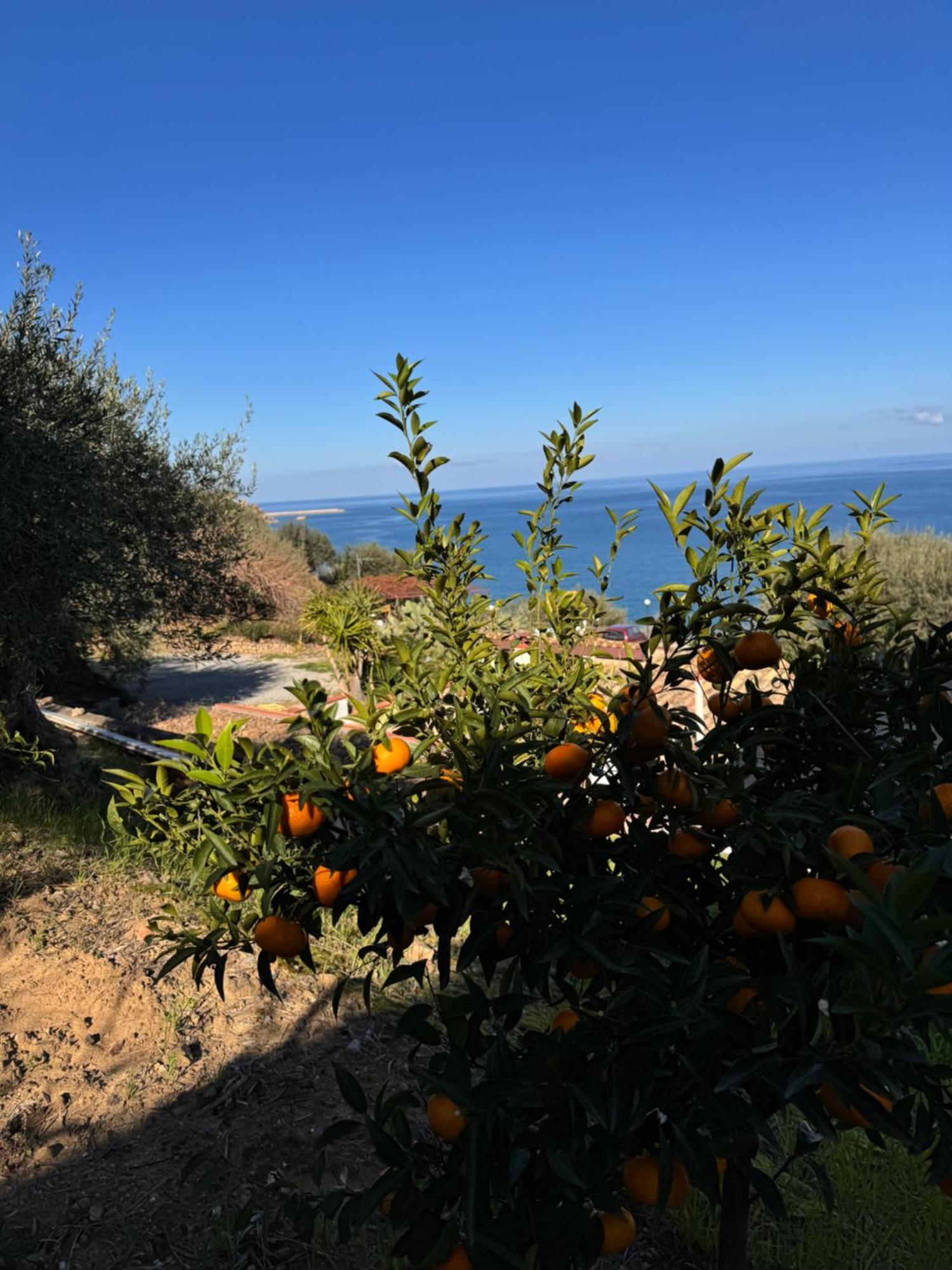 Mareblu Bed & Breakfast Cefalù Dış mekan fotoğraf